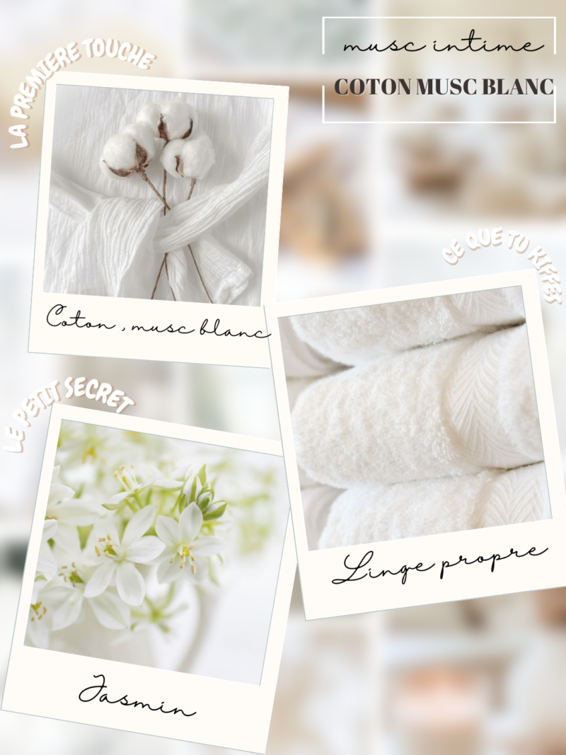 musc coton musc blanc