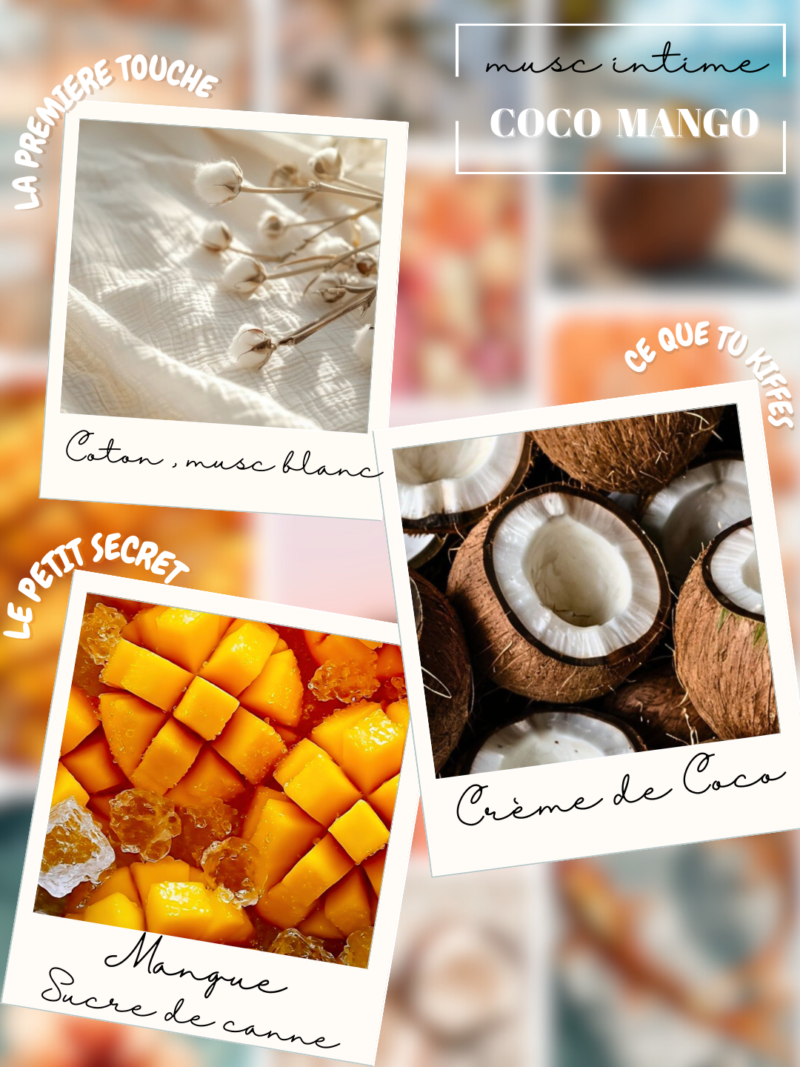 musc tahara coco mangue